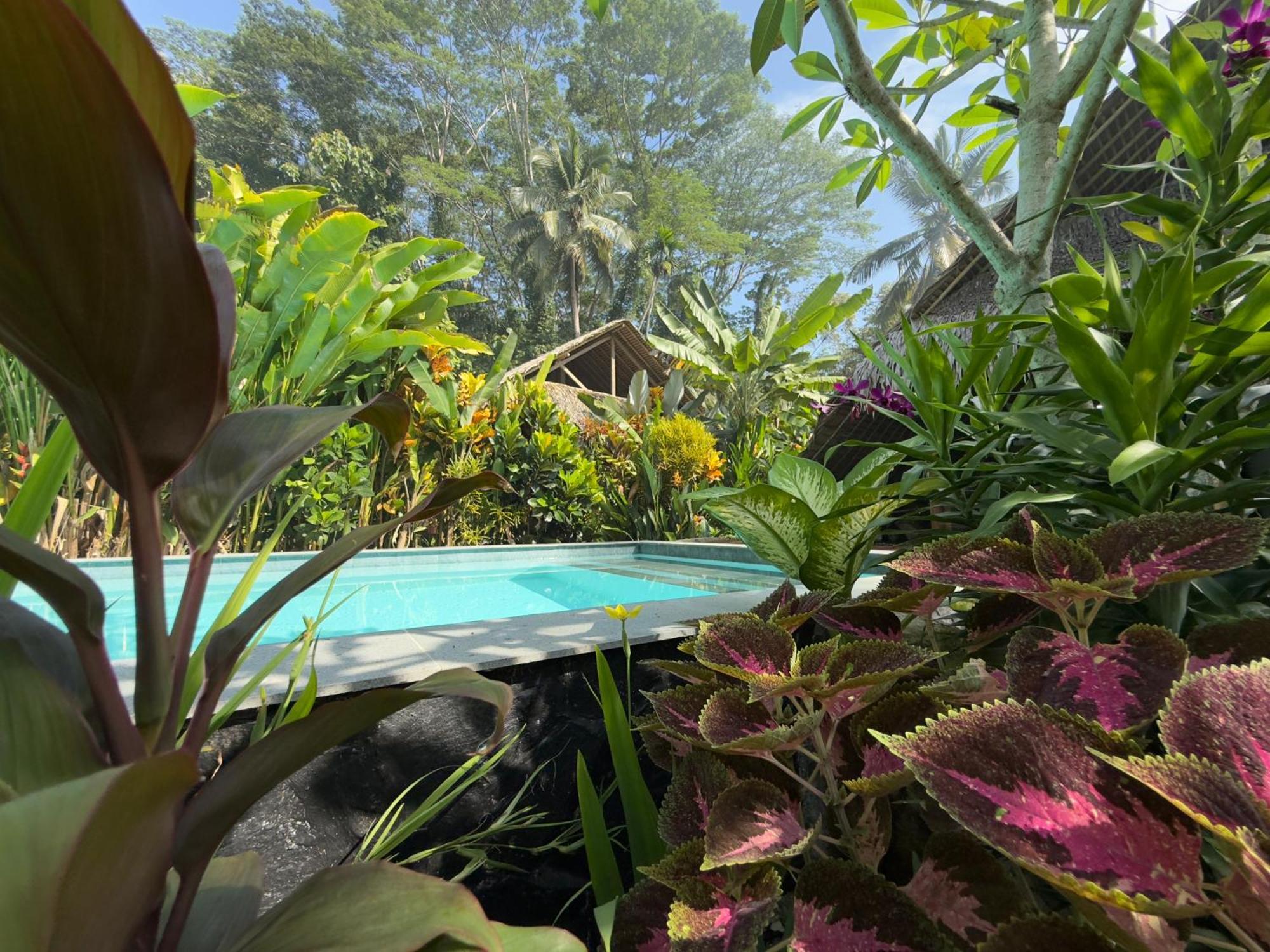 Rnv Eco Resort Bungalows Batukaras Exteriör bild