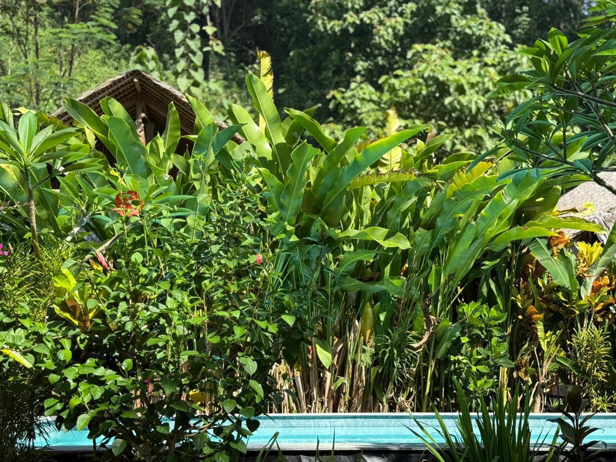 Rnv Eco Resort Bungalows Batukaras Exteriör bild