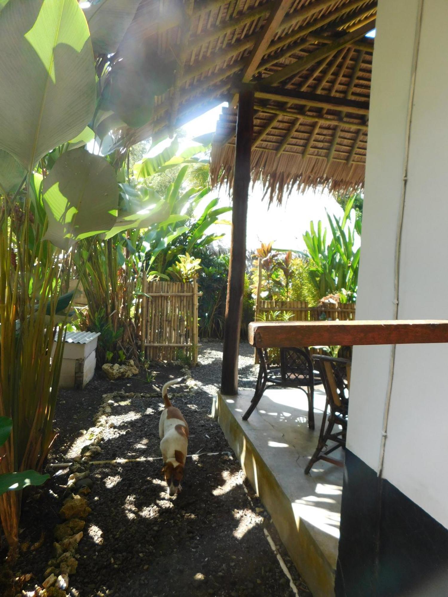 Rnv Eco Resort Bungalows Batukaras Exteriör bild